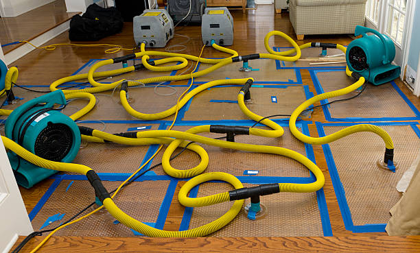 Professional Water Damage Repair technician working in Watchung, NJ